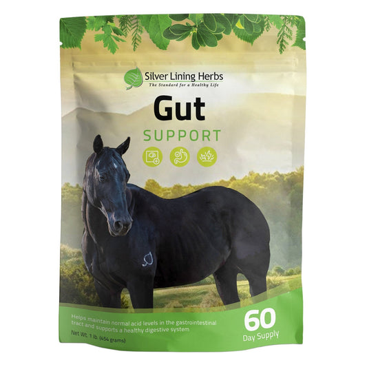 Silver Lining Herbs Gut Support for Horses