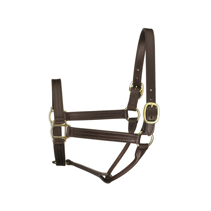 Perri's Leather Track Style Show Halter