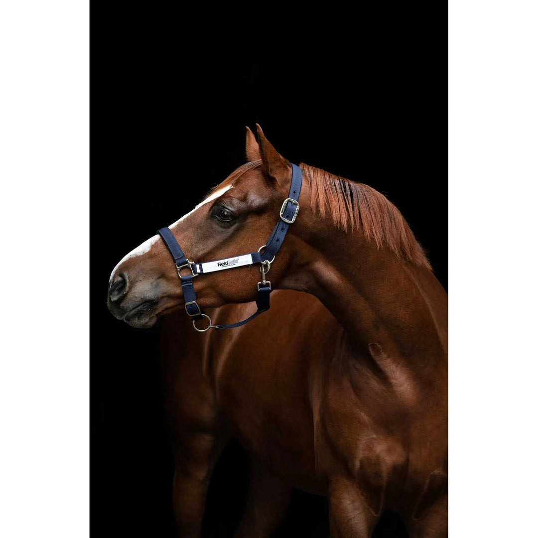 Horseware Ireland Field Safe Halter - Corro