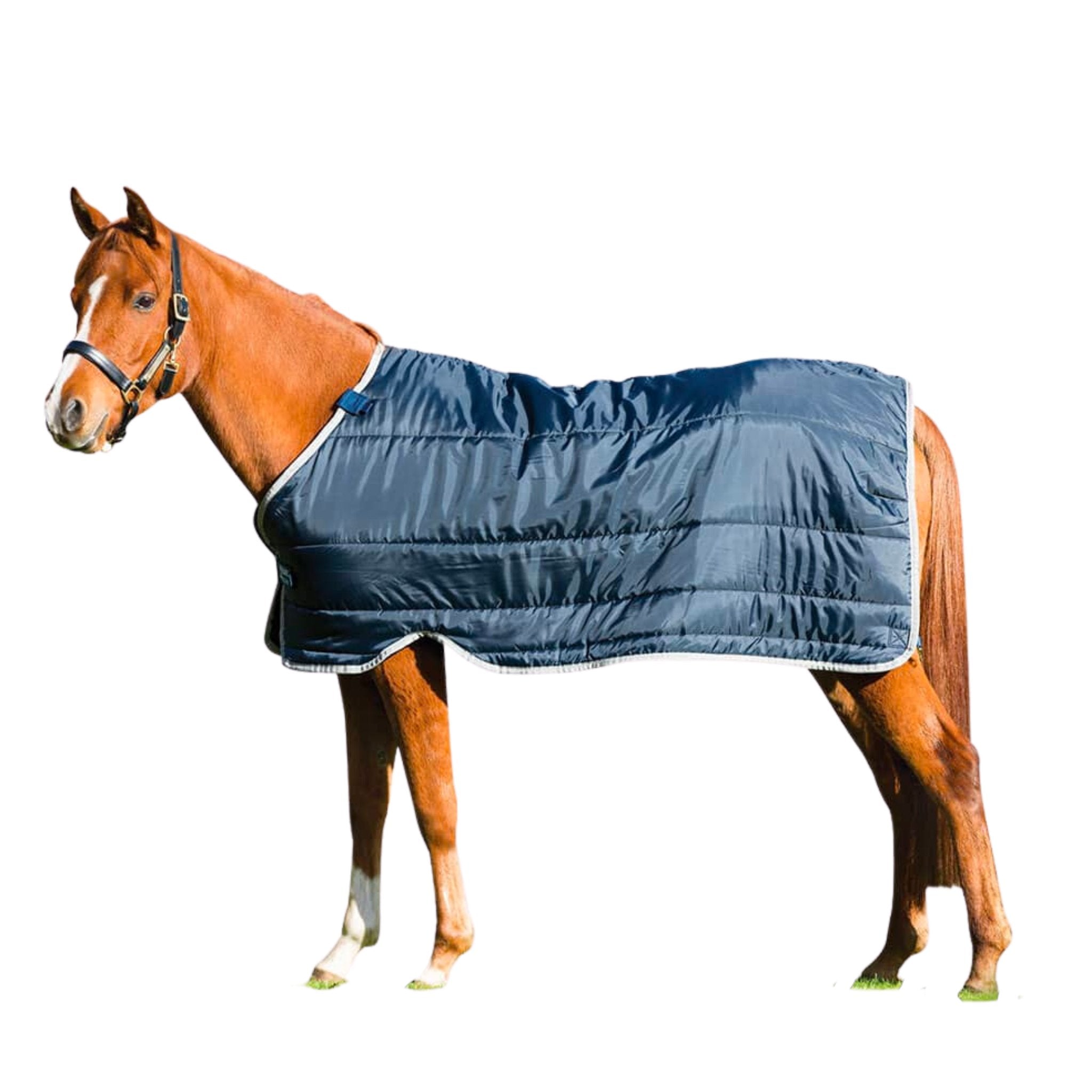 Horseware Ireland Pony Liner (100g Lite) - Corro