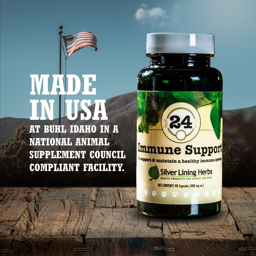 Silver Lining Herbs Immune Support for Canines