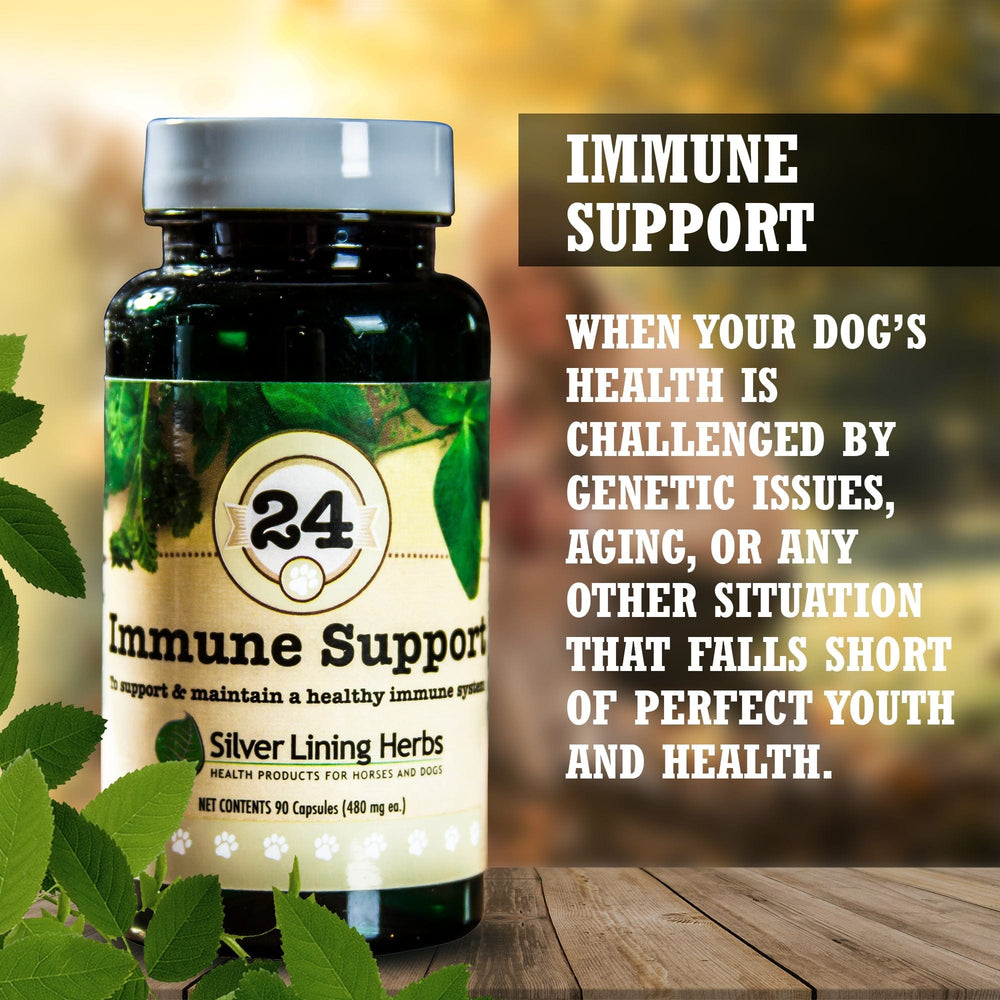 Silver Lining Herbs Immune Support for Canines