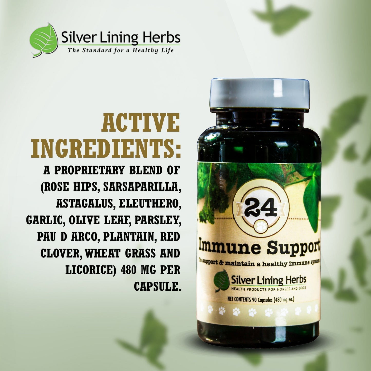 Silver Lining Herbs Immune Support for Canines