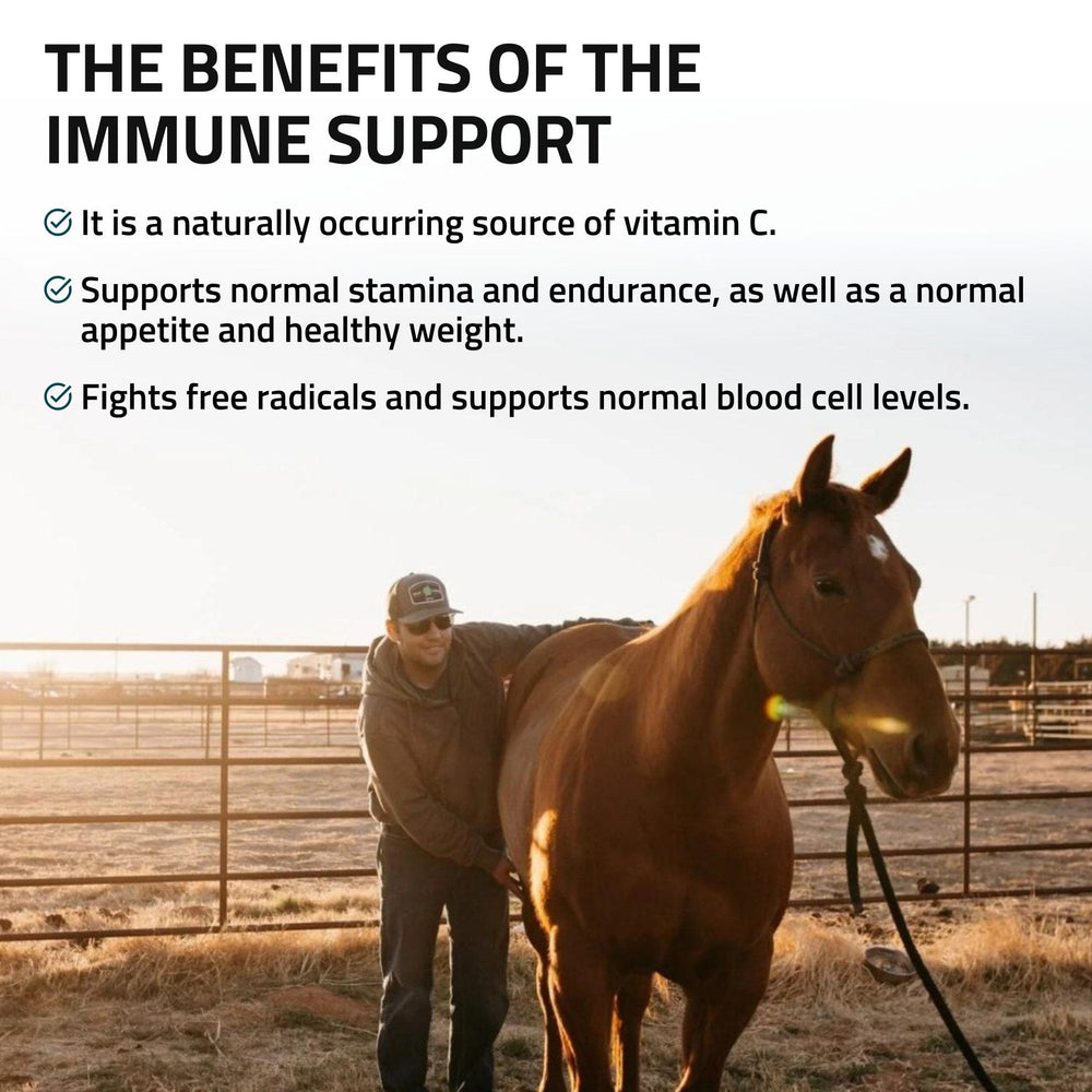 Silver Lining Herbs Immune Support for Horses