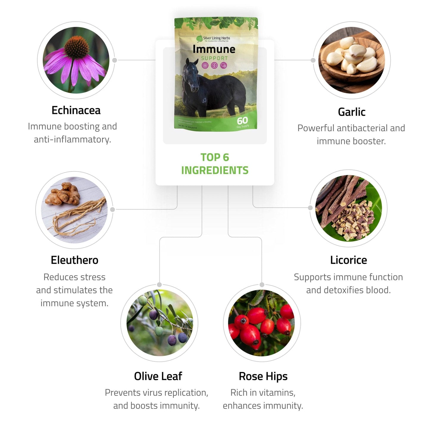 Silver Lining Herbs Immune Support for Horses