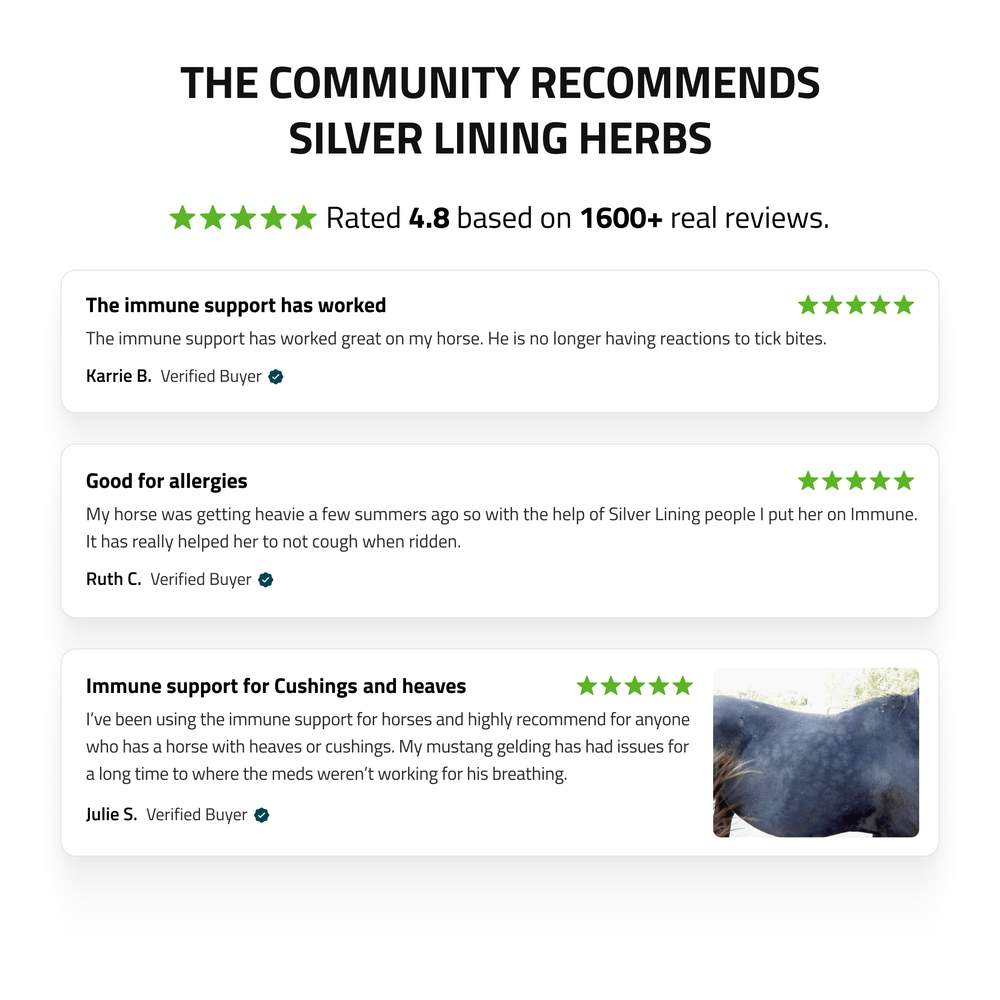 Silver Lining Herbs Immune Support for Horses