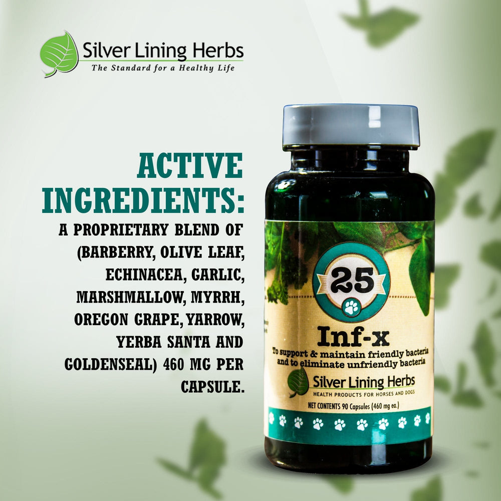 Silver Lining Herbs INF-X for Canines - 90 Capsules