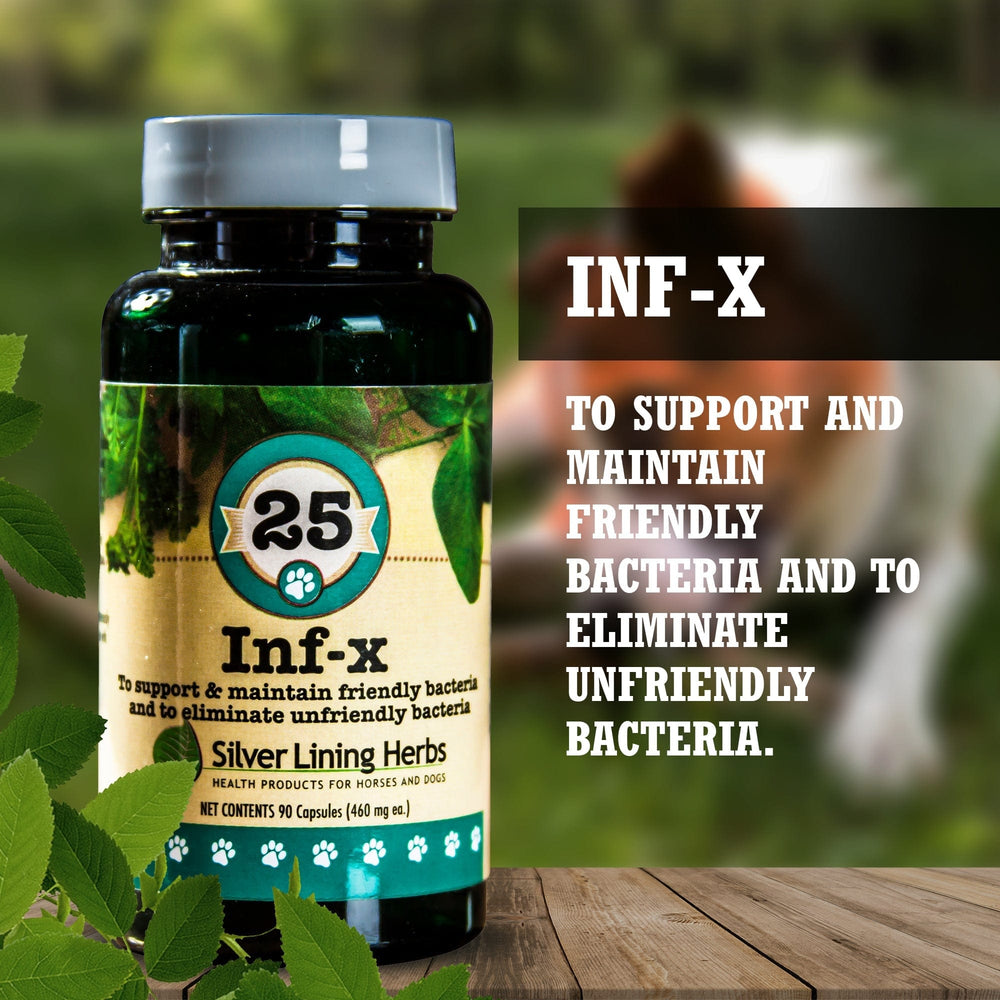 Silver Lining Herbs INF-X for Canines - 90 Capsules