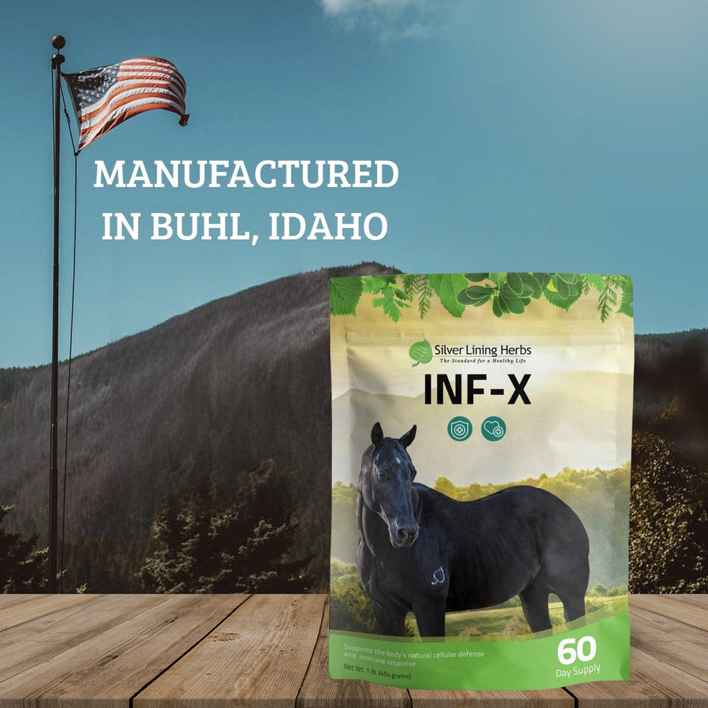Silver Lining Herbs INF-X for Horses