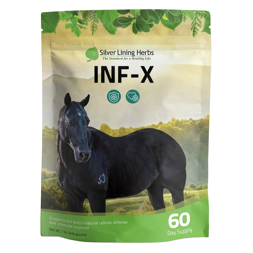 Silver Lining Herbs INF-X for Horses