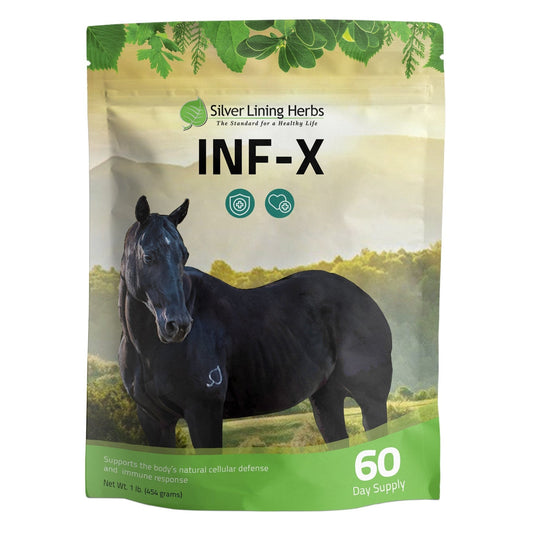 Silver Lining Herbs INF-X for Horses