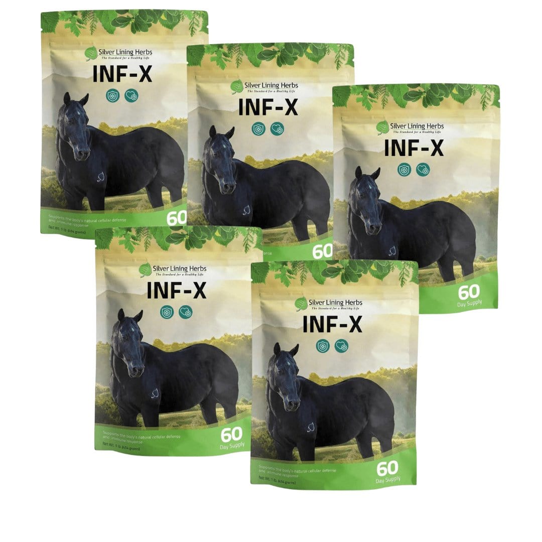 Silver Lining Herbs INF-X for Horses