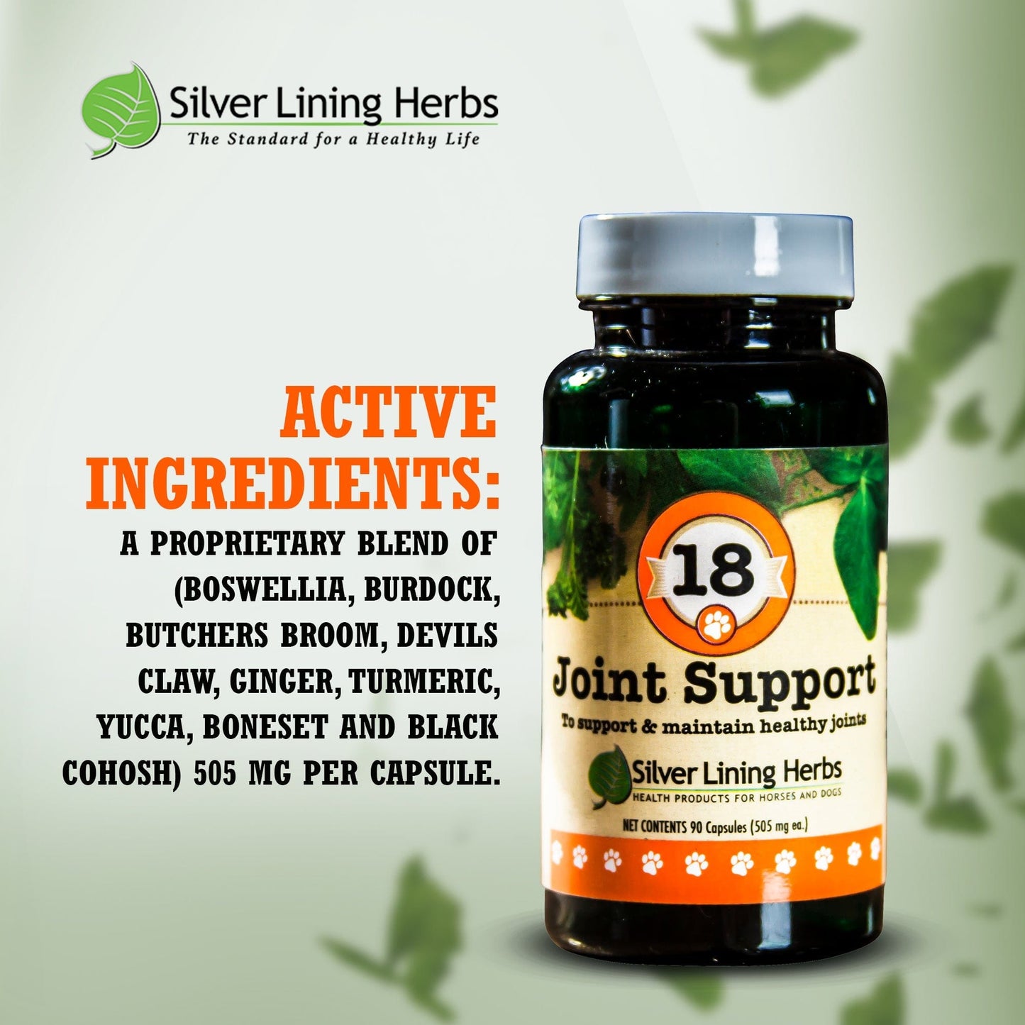 Silver Lining Herbs Joint Support for Canines