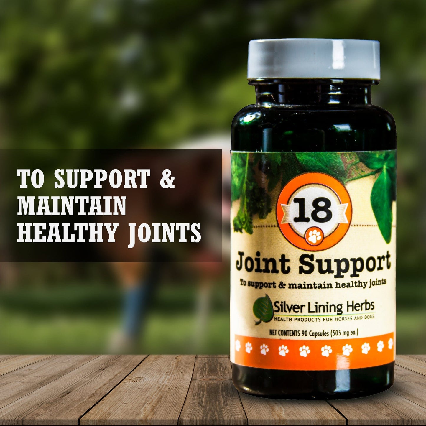 Silver Lining Herbs Joint Support for Canines