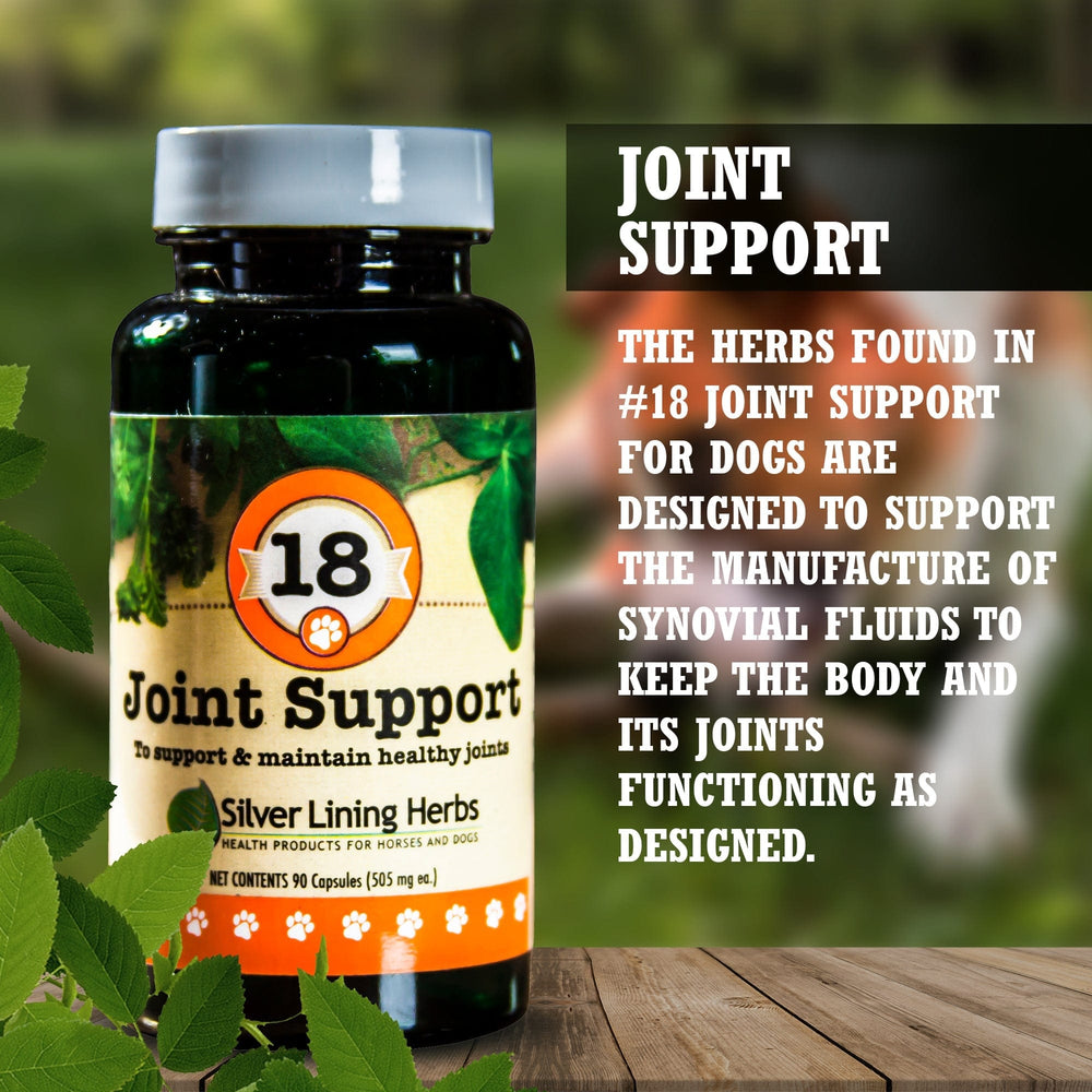 Silver Lining Herbs Joint Support for Canines