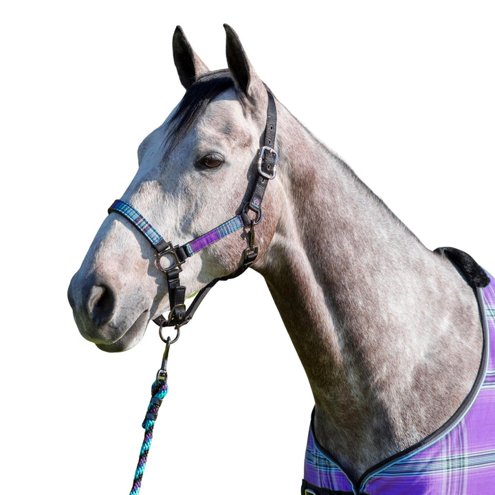 Kensington Premium Nylon Halter - Corro