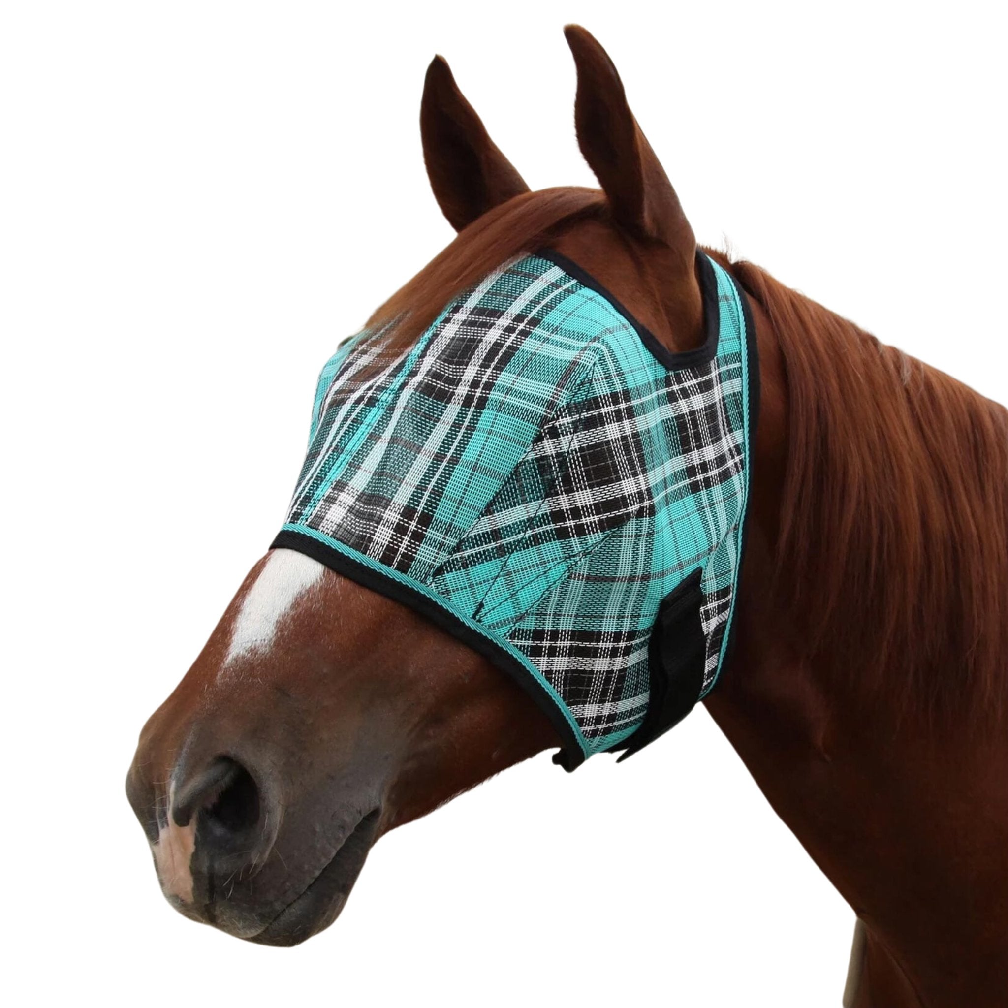 Kensington Signature Fly Mask with Web Trim - Corro