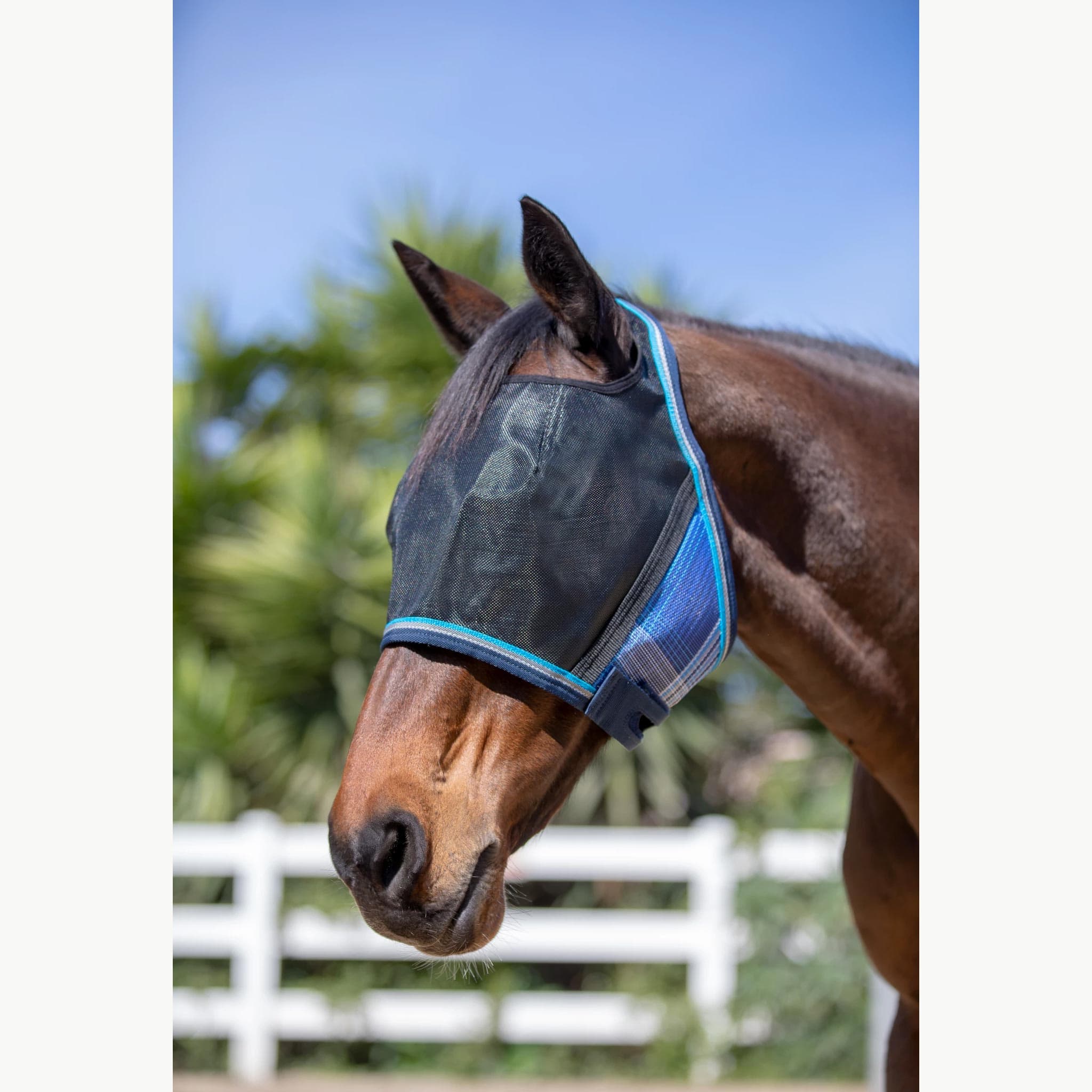 Kensington UViator Protective Mask - Corro