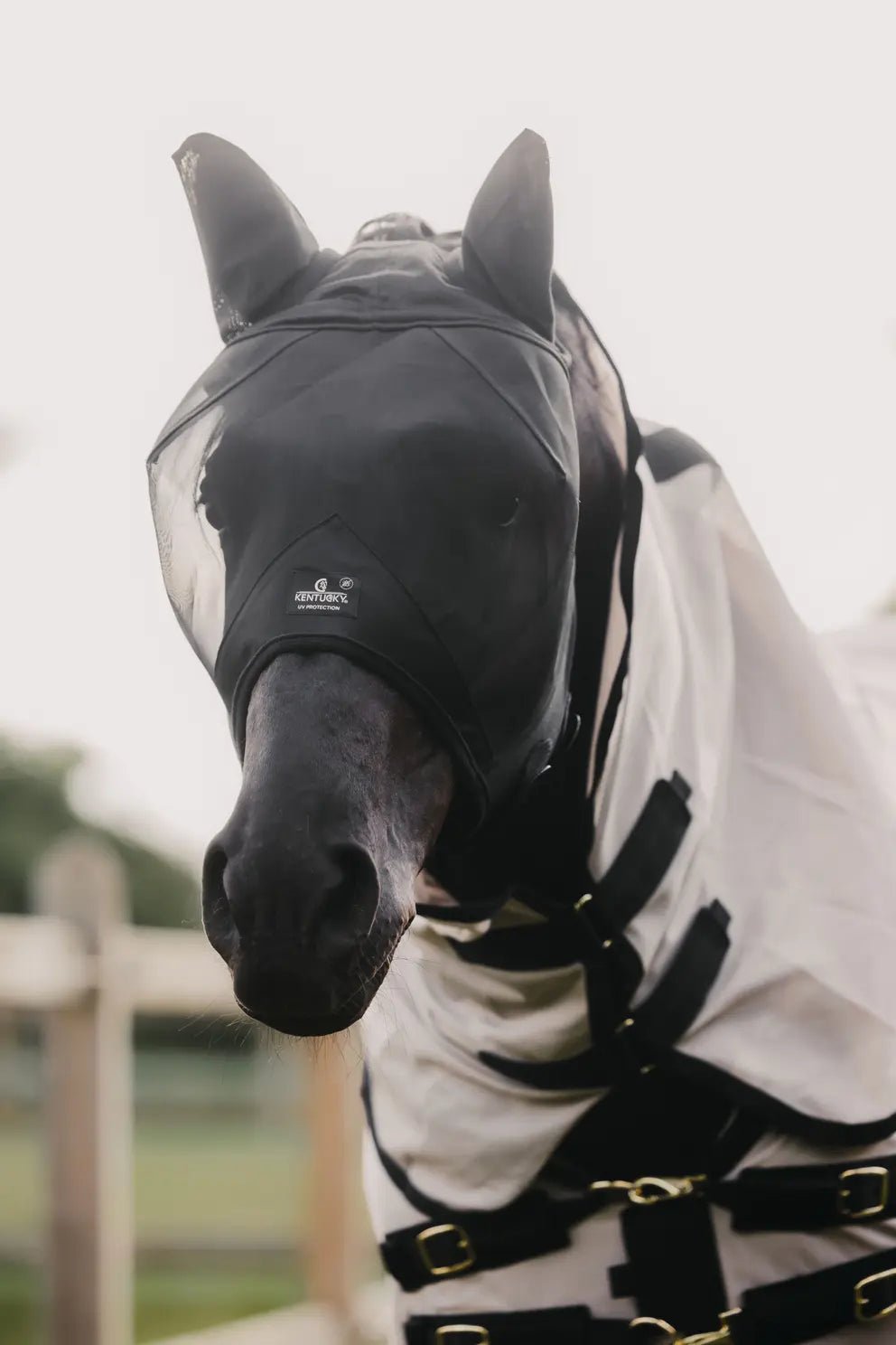 Kentucky Horseware Fly Mask Classic With Ears - Corro