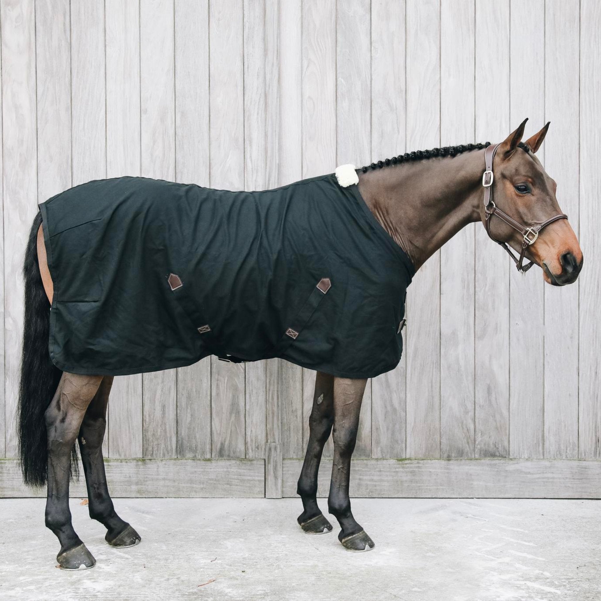 Kentucky Horsewear Cotton Sheet - Corro