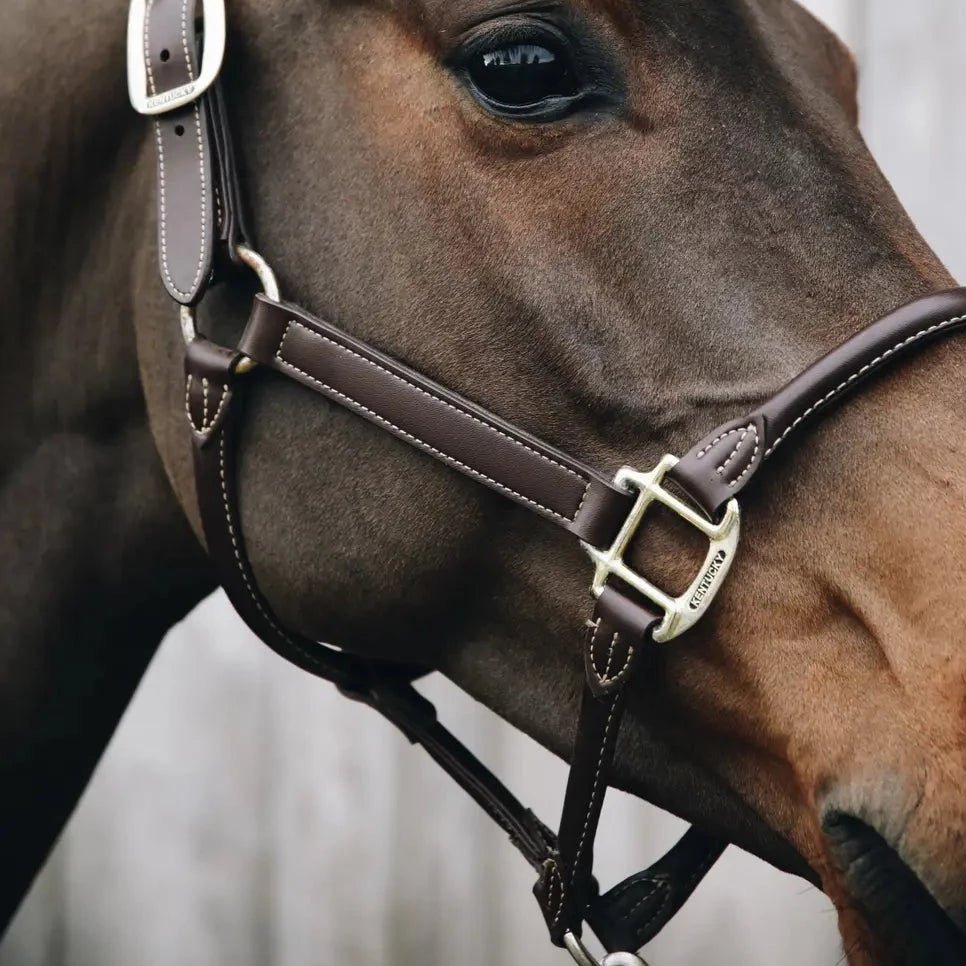 Kentucky Horsewear Leather Anatomic Halter - Corro