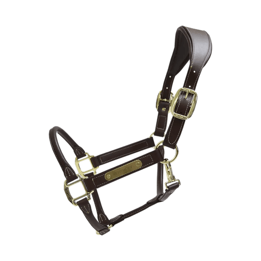 Kentucky Horsewear Leather Anatomic Halter - Corro