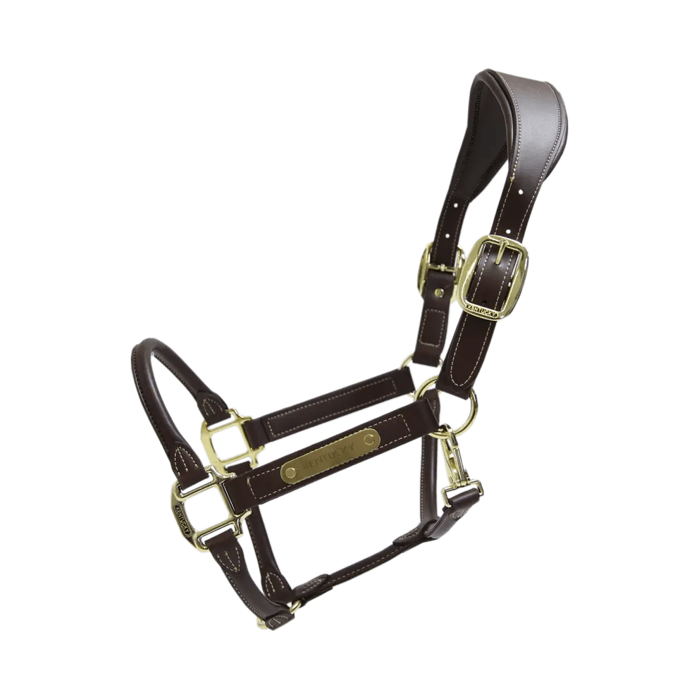 Kentucky Horsewear Leather Anatomic Halter - Corro