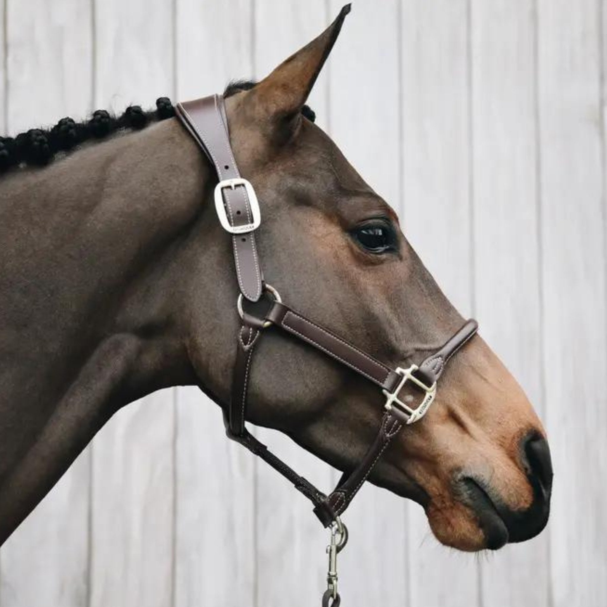 Kentucky Horsewear Leather Anatomic Halter - Corro