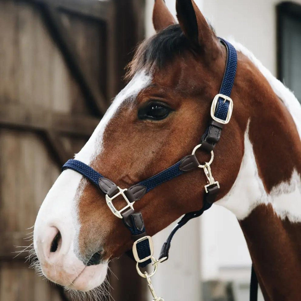 Kentucky Horsewear Plaited Nylon Halter - Corro