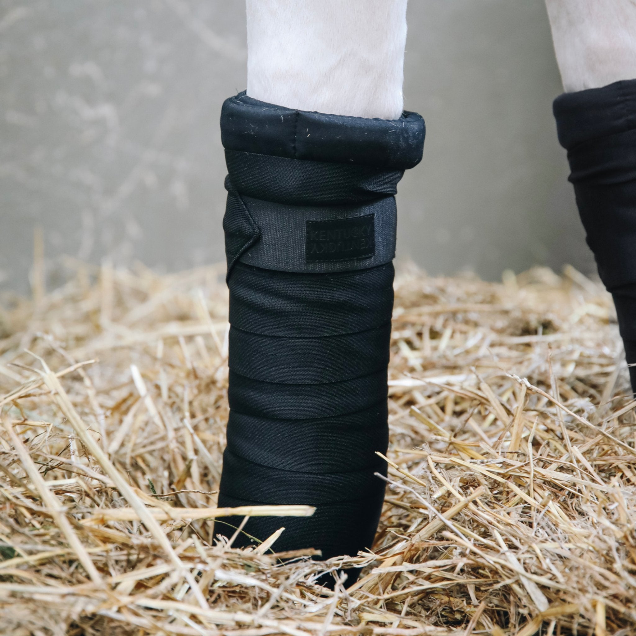 Kentucky Horsewear Repellent Stable Bandages - Corro