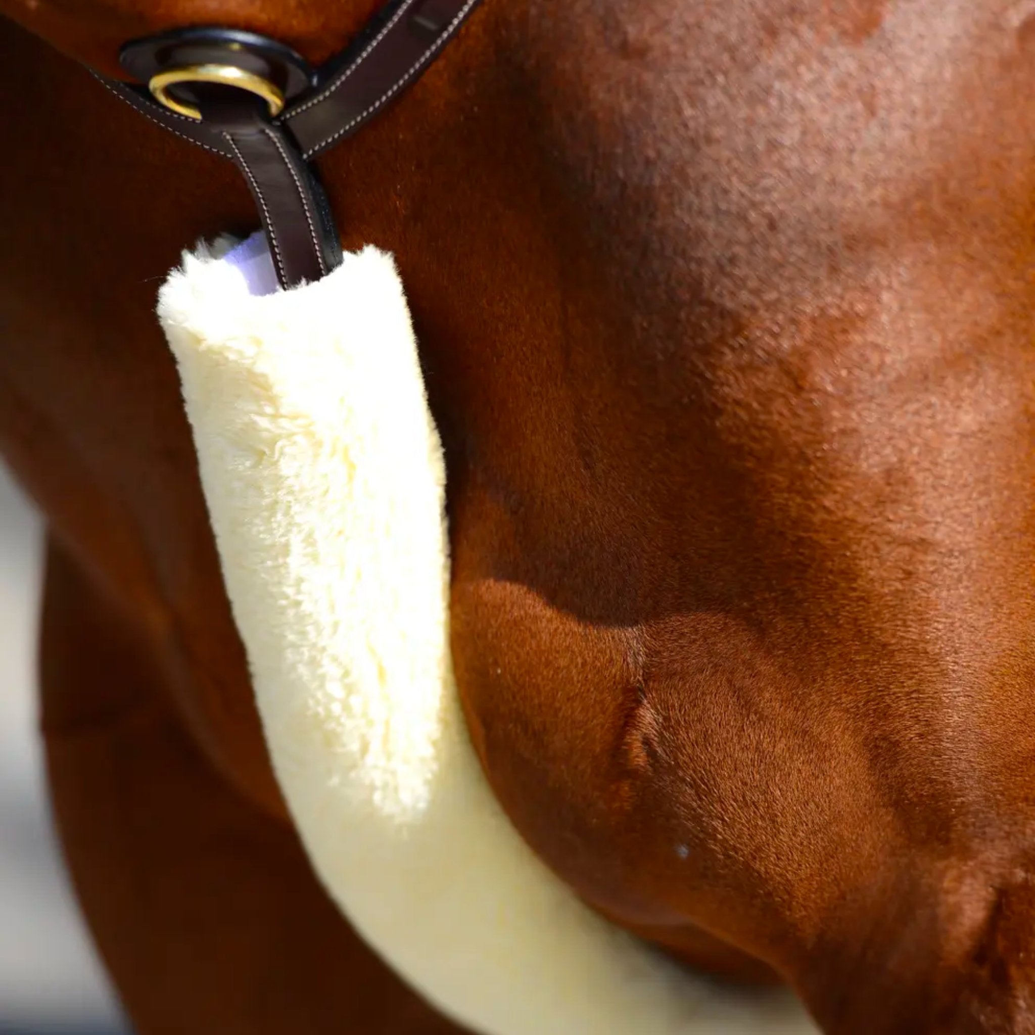 Kentucky Horsewear Sheepskin Breastplate Cover - Corro