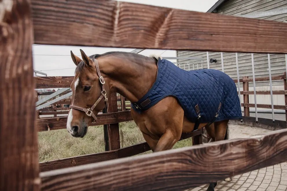 Kentucky Horsewear Walker Rug (160g) - Corro