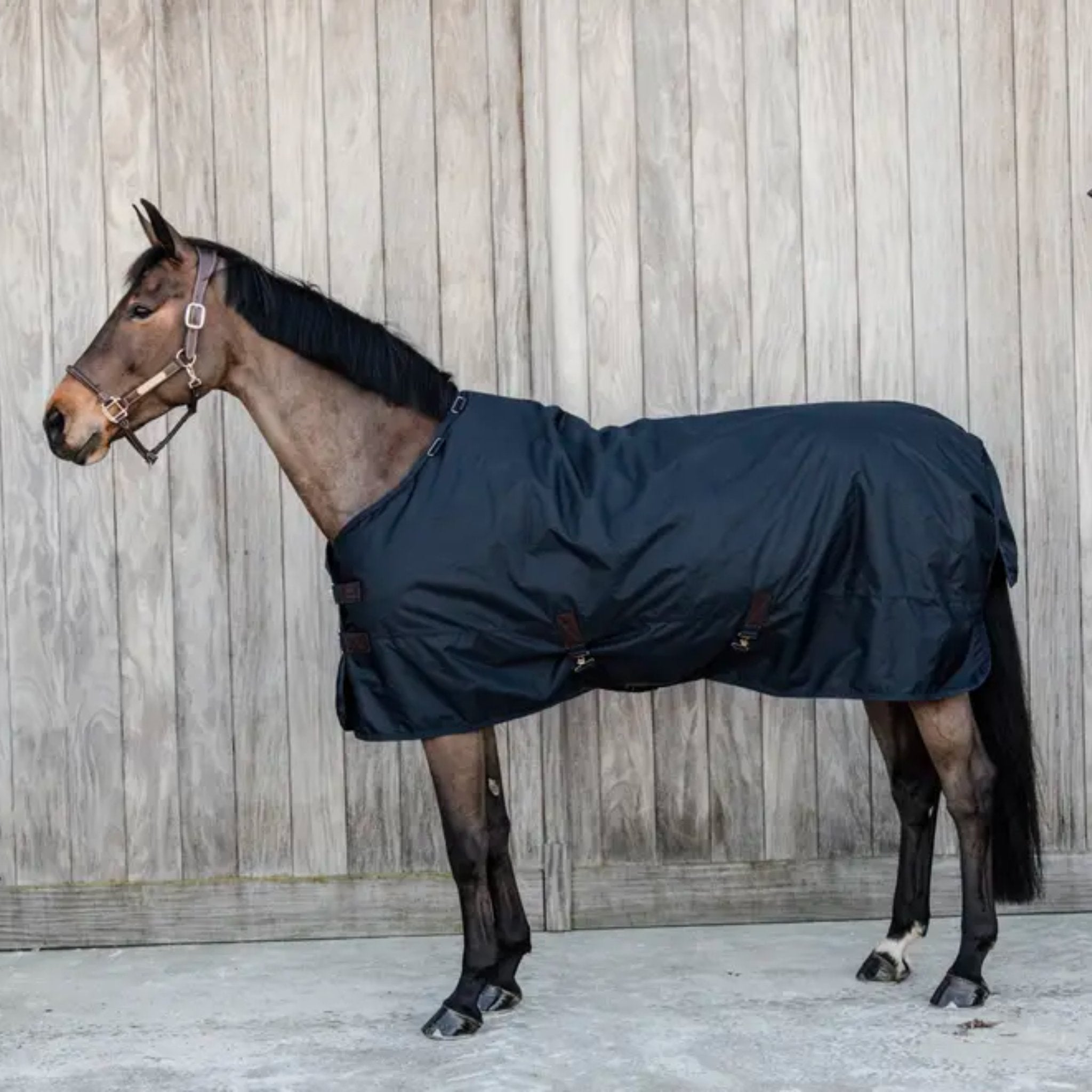 Kentucky Horsewear Waterproof Turnout Sheet - Corro