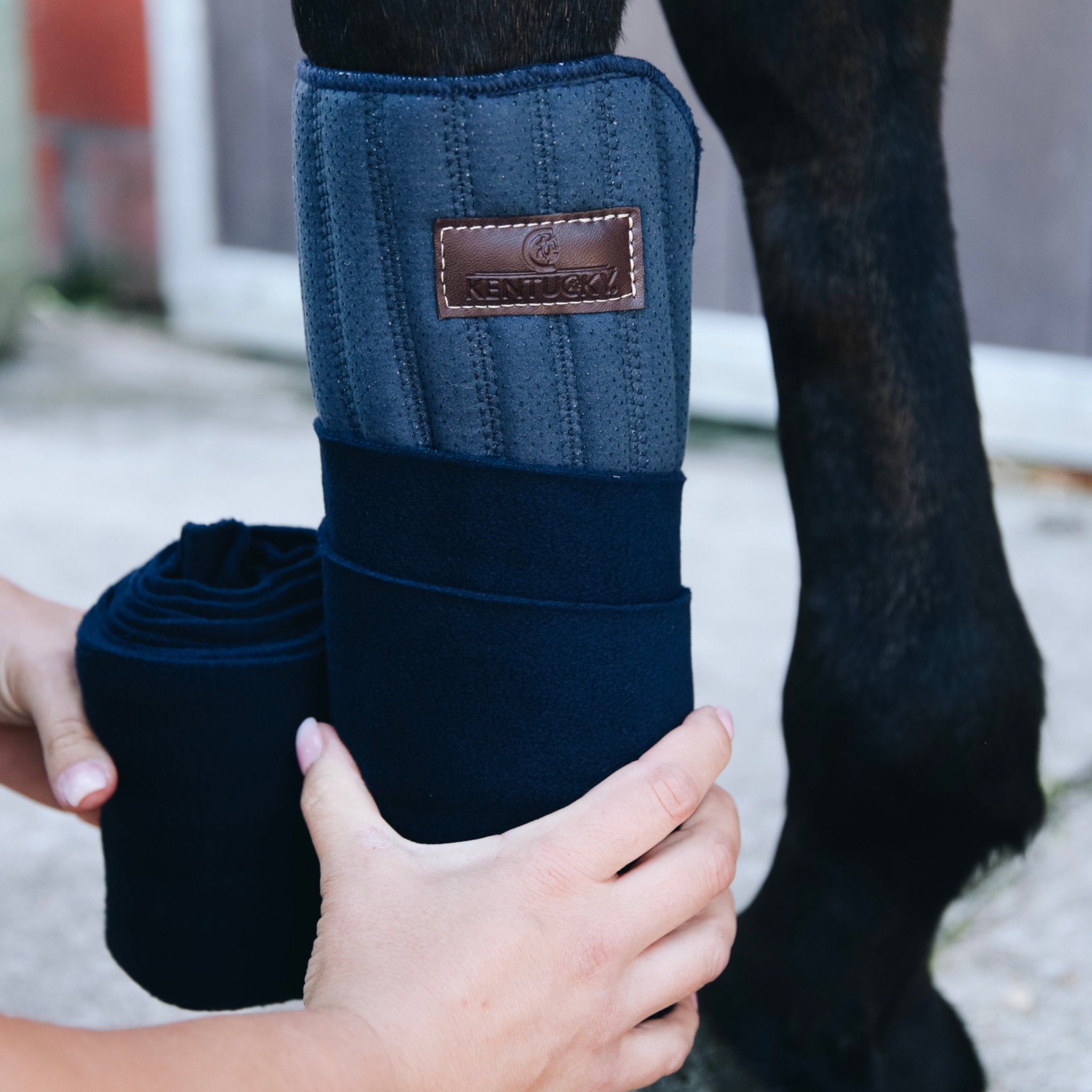 Kentucky Horsewear Working Bandage Pads - Corro