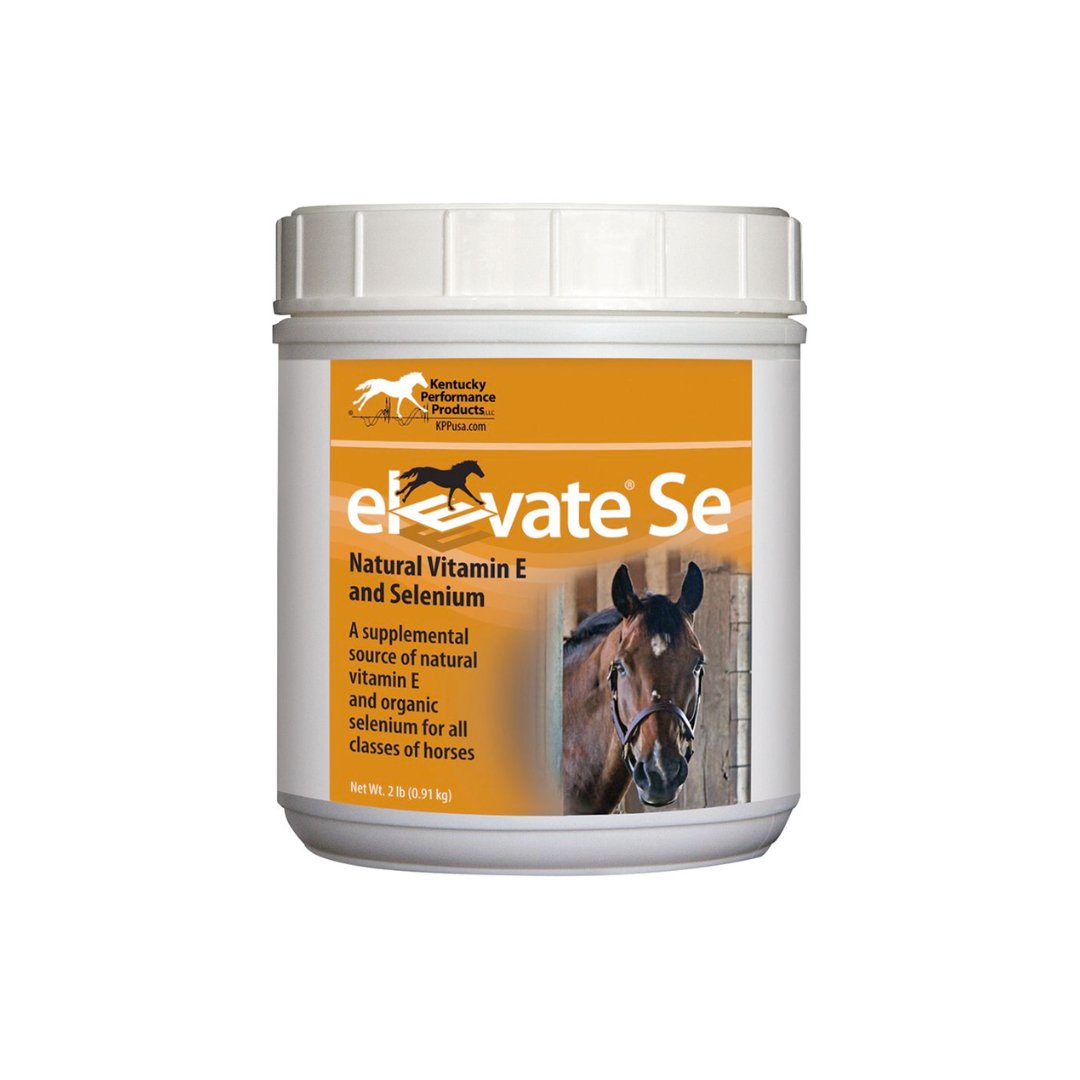 Kentucky Performance Elevate Se - Corro