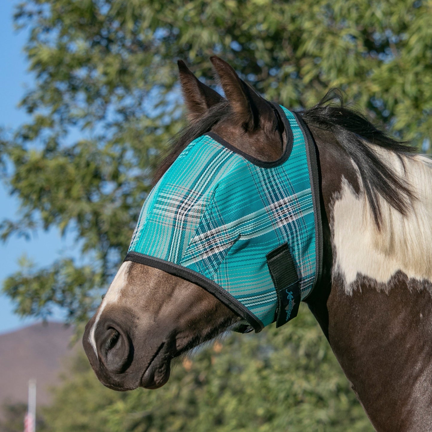 Kensington Draft Fly Mask with Web Trim - Open Ear Design