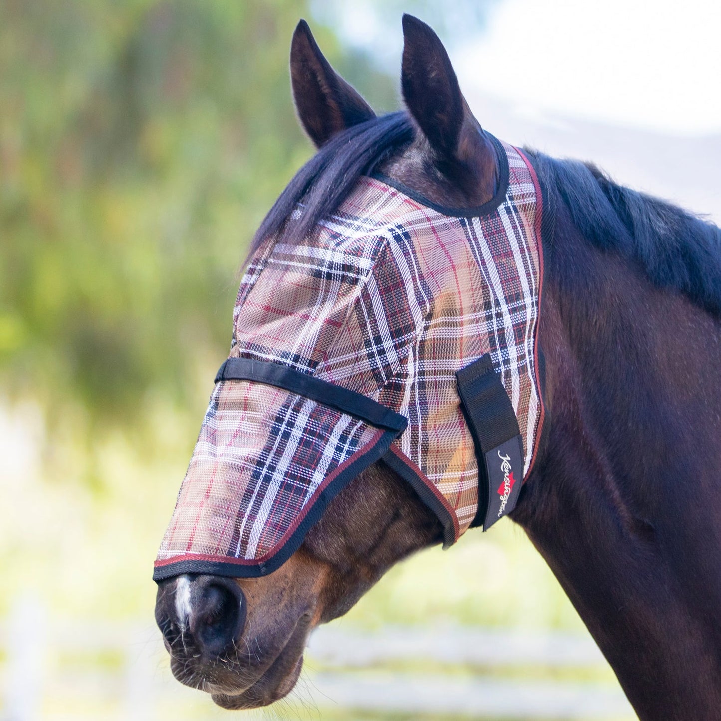 Kensington Fly Mask with Removable Nose