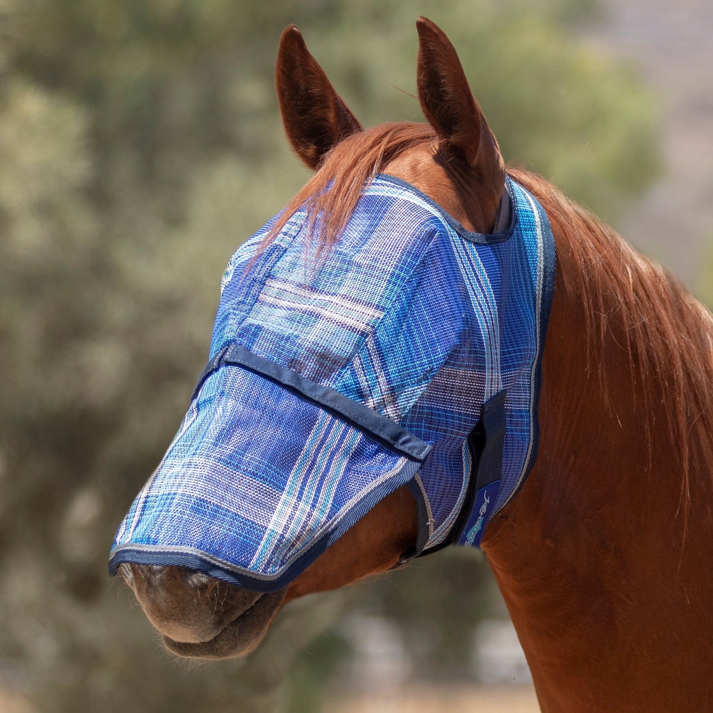 Kensington Fly Mask with Removable Nose