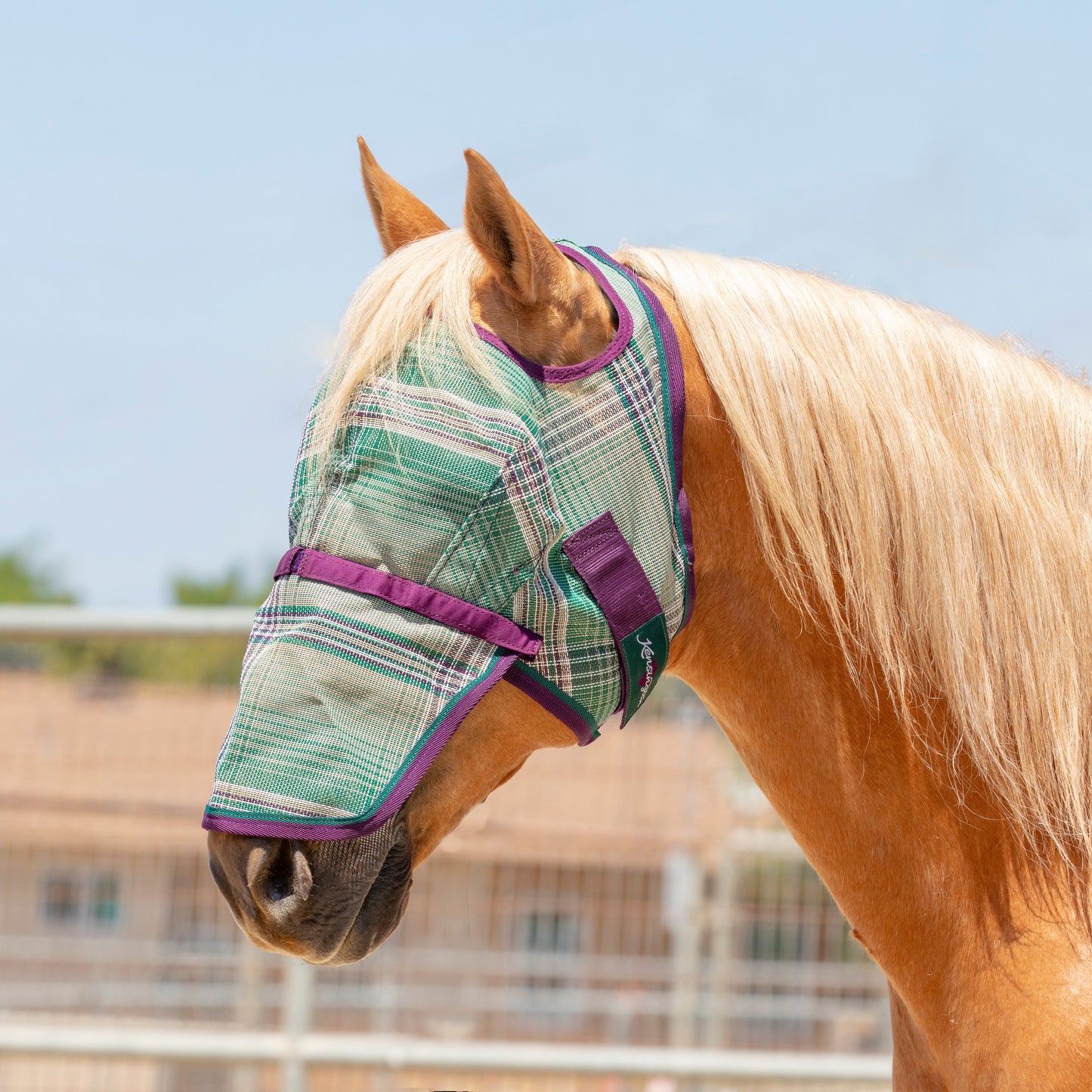 Kensington Fly Mask with Removable Nose