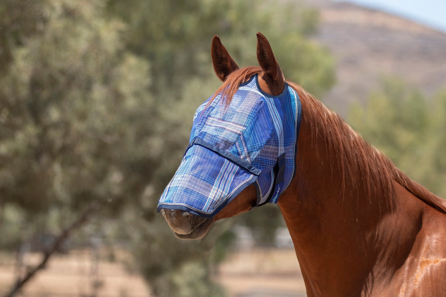 Kensington Fly Mask with Removable Nose