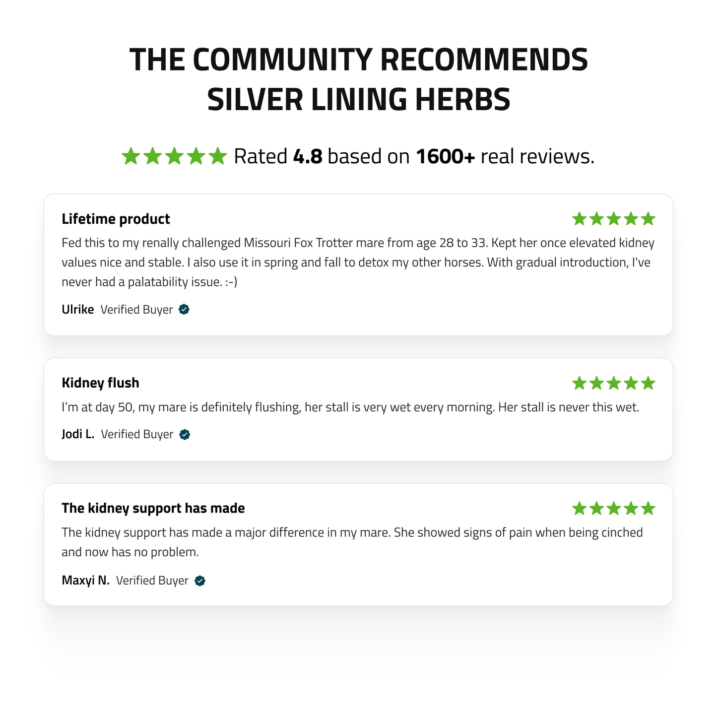 Silver Lining Herbs Kidney Support for Horses