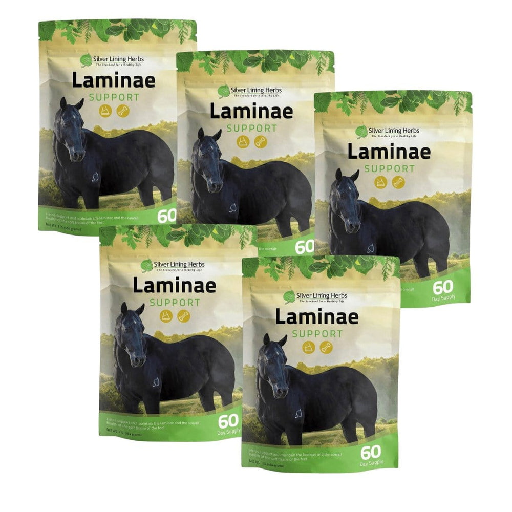 Silver Lining Herbs Laminae Support for Horses