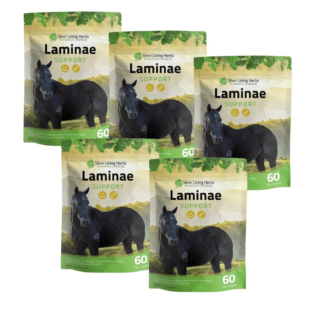Silver Lining Herbs Laminae Support for Horses