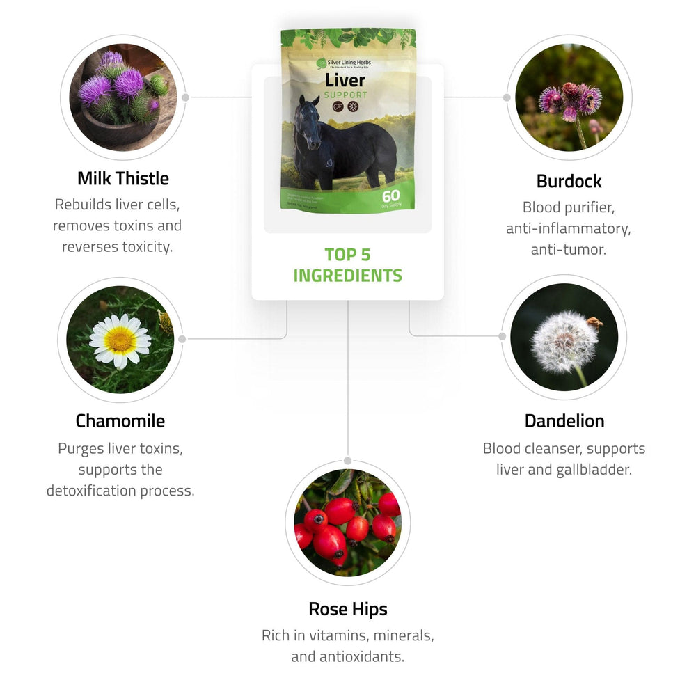 Silver Lining Herbs Liver Support for Horses