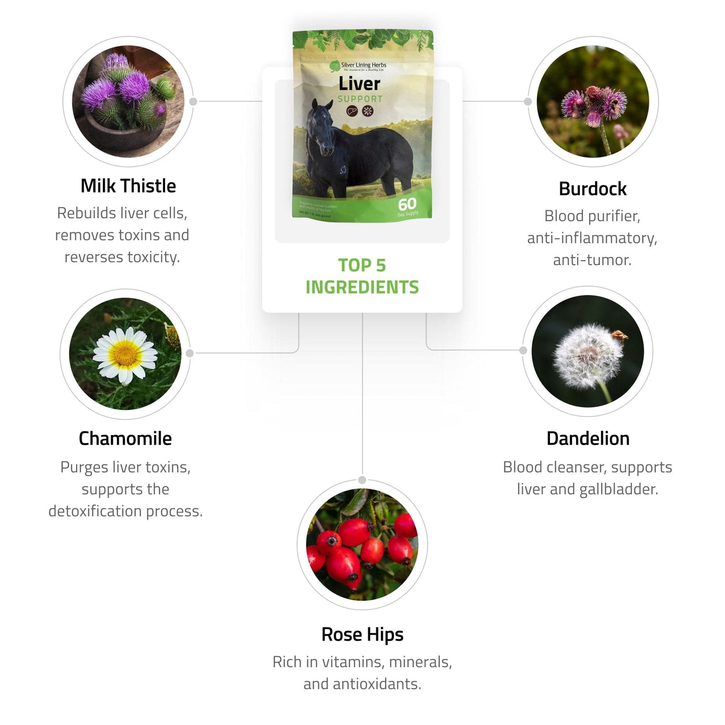 Silver Lining Herbs Liver Support for Horses