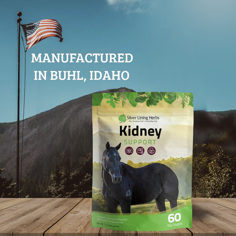 Silver Lining Herbs Liver Support for Horses