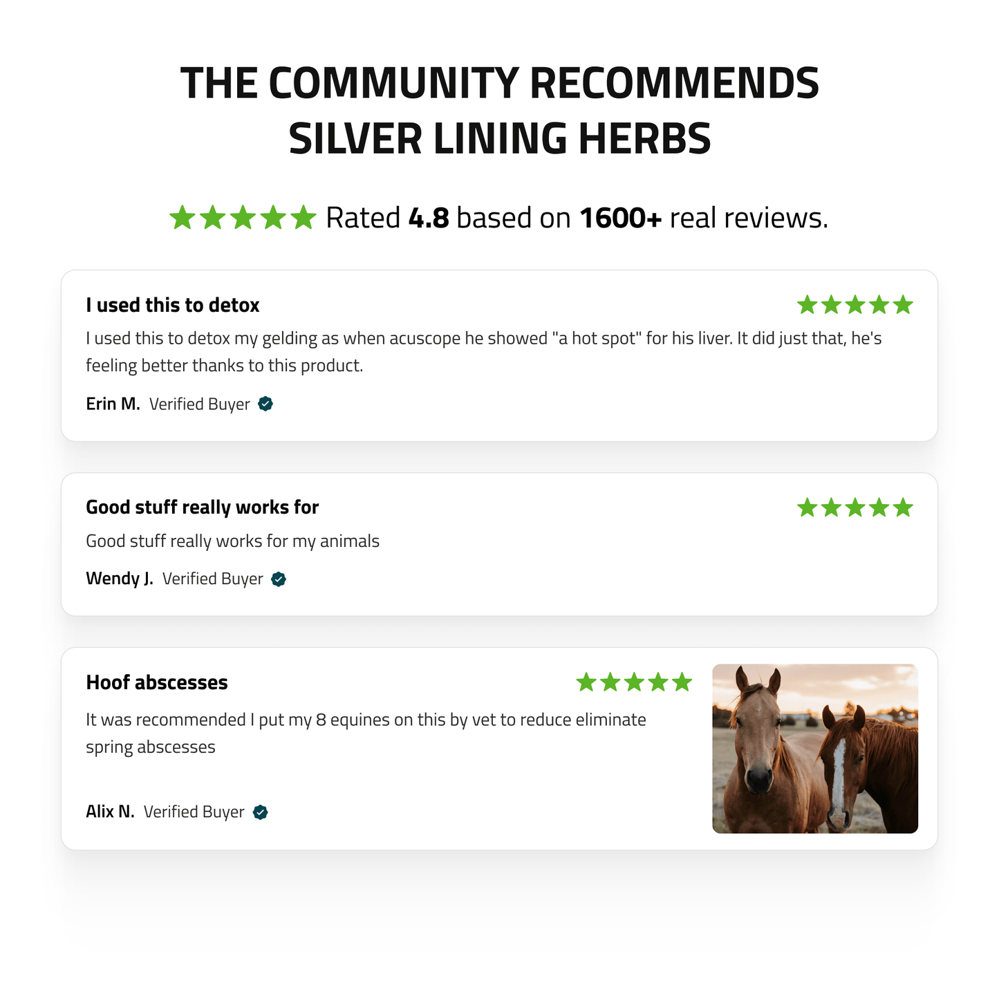 Silver Lining Herbs Liver Support for Horses