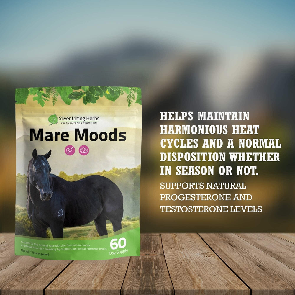 Silver Lining Herbs Mare Moods For Horses
