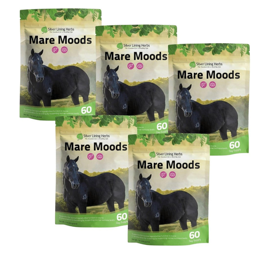 Silver Lining Herbs Mare Moods For Horses
