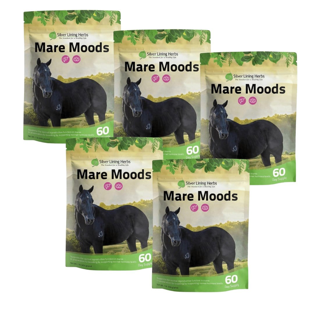 Silver Lining Herbs Mare Moods For Horses